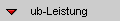ub-Leistung